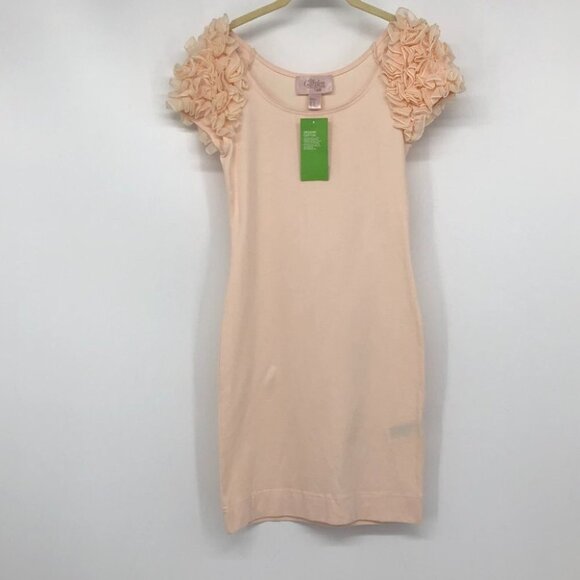 H&M NWT paste pink The Garden Collection bodycon mini dress puffy floral sleeves - Picture 14 of 15